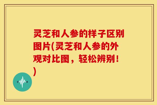 灵芝和人参的样子区别图片(灵芝和人参的外观对比图，轻松辨别！)