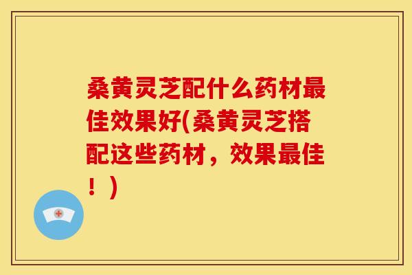 桑黄灵芝配什么药材最佳效果好(桑黄灵芝搭配这些药材，效果最佳！)
