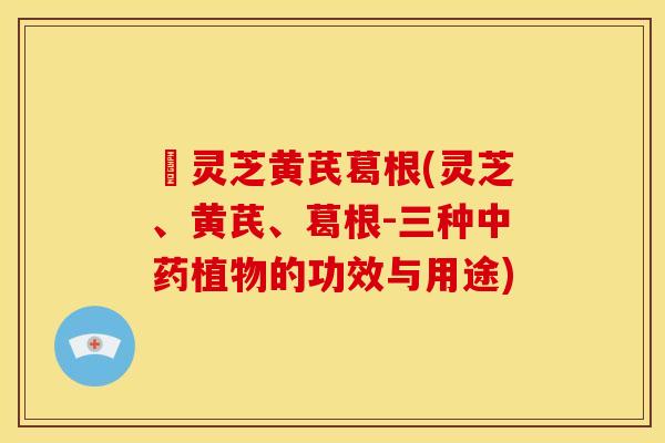 朿灵芝黄芪葛根(灵芝、黄芪、葛根-三种中药植物的功效与用途)