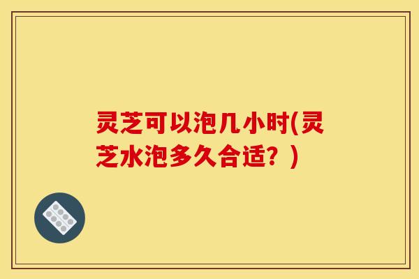 灵芝可以泡几小时(灵芝水泡多久合适?)