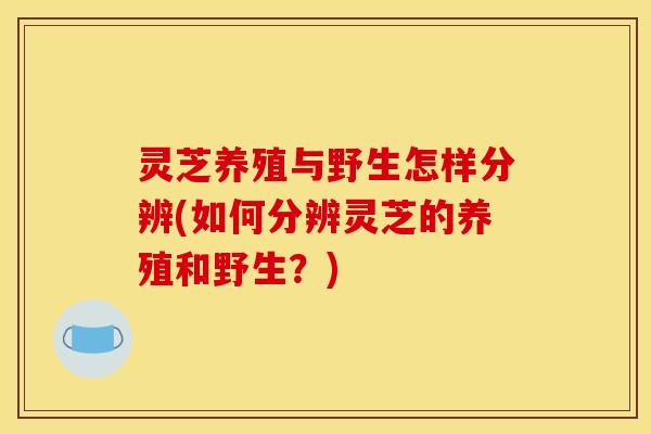灵芝养殖与野生怎样分辨(如何分辨灵芝的养殖和野生?)