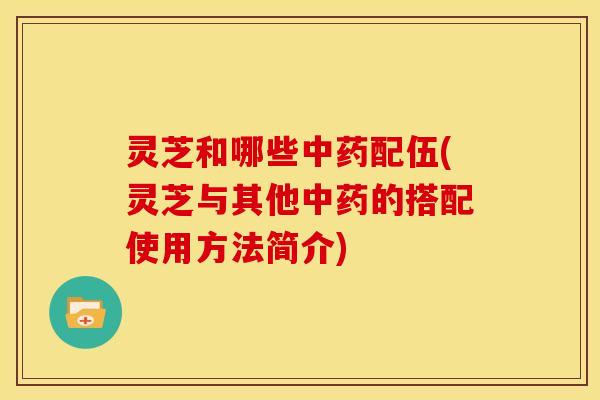 灵芝和哪些中药配伍(灵芝与其他中药的搭配使用方法简介)