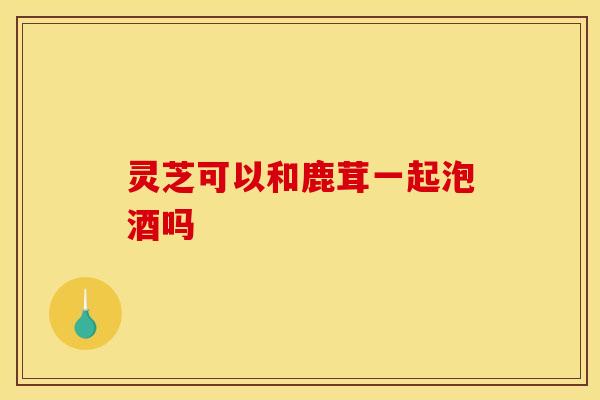 灵芝可以和鹿茸一起泡酒吗
