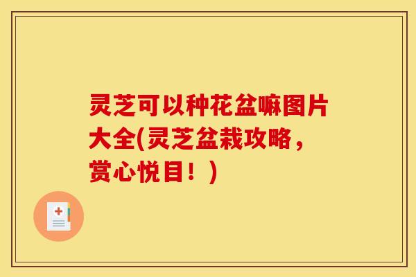 灵芝可以种花盆嘛图片大全(灵芝盆栽攻略,赏心悦目!)