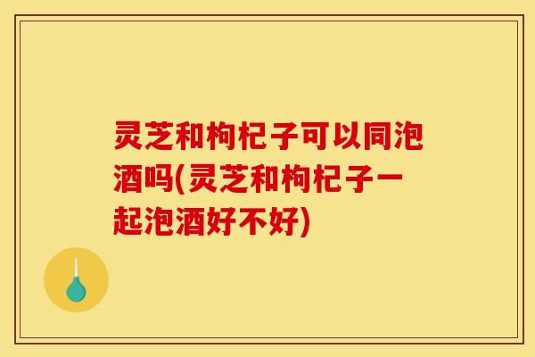 灵芝和枸杞子可以同泡酒吗(灵芝和枸杞子一起泡酒好不好)