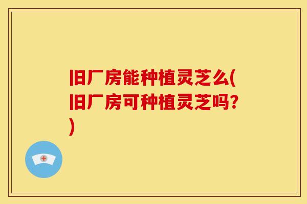 旧厂房能种植灵芝么(旧厂房可种植灵芝吗?)