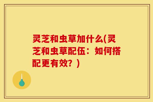 灵芝和虫草加什么(灵芝和虫草配伍:如何搭配更有效?)