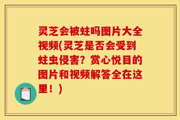 灵芝会被蛀吗图片大全视频(灵芝是否会受到蛀虫侵害?赏心悦目的图片和视频解答全在这里!)