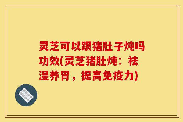 灵芝可以跟猪肚子炖吗功效(灵芝猪肚炖：祛湿养胃，提高免疫力)