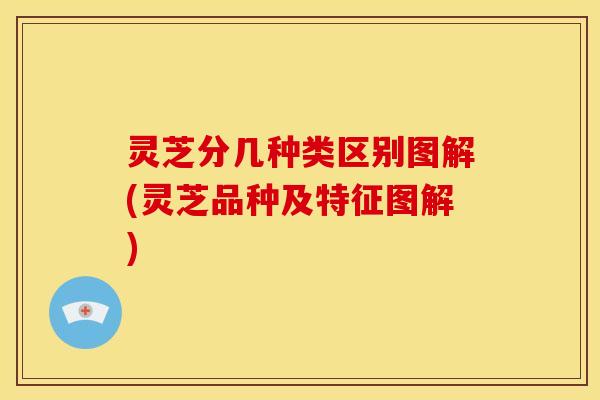 灵芝分几种类区别图解(灵芝品种及特征图解)