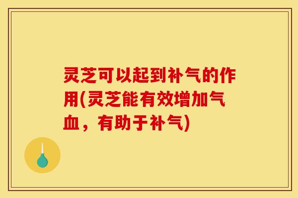 灵芝可以起到补气的作用(灵芝能有效增加气血,有助于补气)