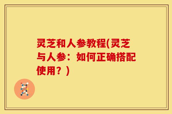 灵芝和人参教程(灵芝与人参:如何正确搭配使用?)