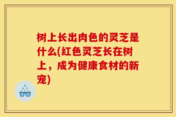 树上长出肉色的灵芝是什么(红色灵芝长在树上，成为健康食材的新宠)