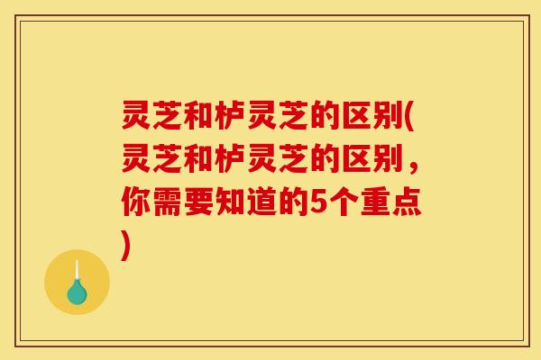 灵芝和栌灵芝的区别(灵芝和栌灵芝的区别,你需要知道的5个重点)