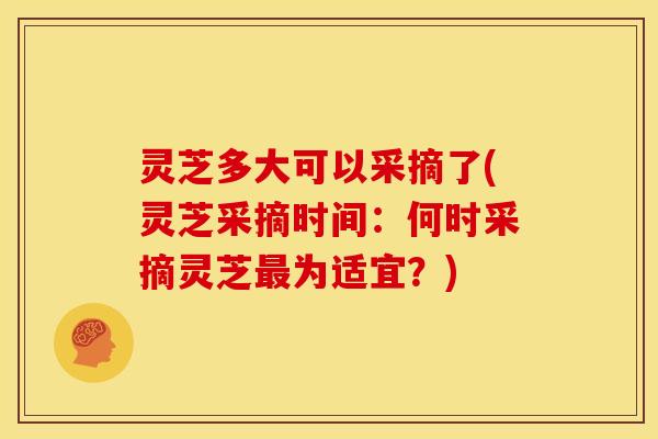 灵芝多大可以采摘了(灵芝采摘时间:何时采摘灵芝最为适宜?)