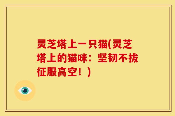 灵芝塔上一只猫(灵芝塔上的猫咪:坚韧不拔征服高空!)