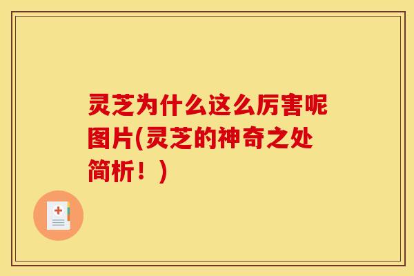 灵芝为什么这么厉害呢图片(灵芝的神奇之处简析!)