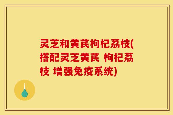 灵芝和黄芪枸杞荔枝(搭配灵芝黄芪 枸杞荔枝 增强免疫系统)