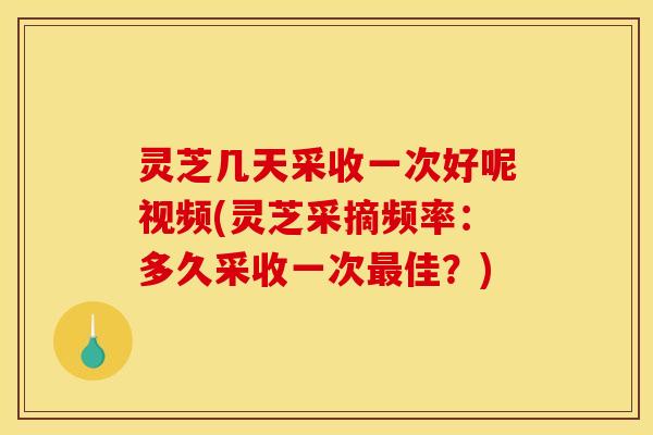 灵芝几天采收一次好呢视频(灵芝采摘频率:多久采收一次最佳?)