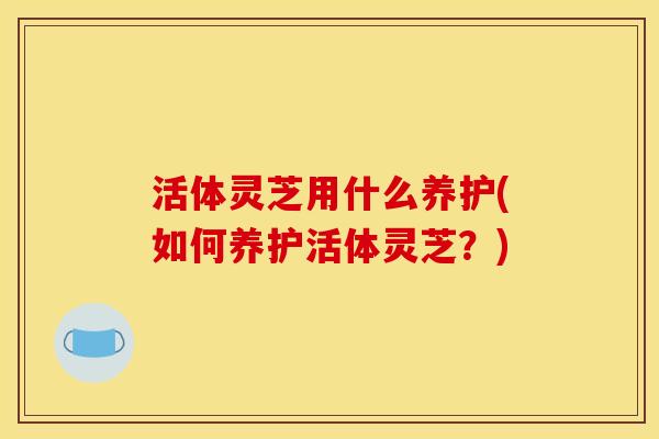 活体灵芝用什么养护(如何养护活体灵芝？)