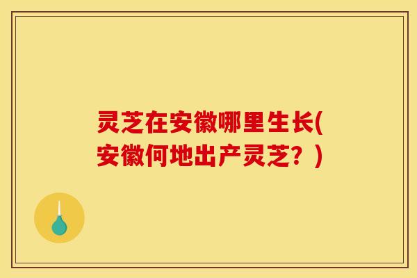 灵芝在安徽哪里生长(安徽何地出产灵芝?)