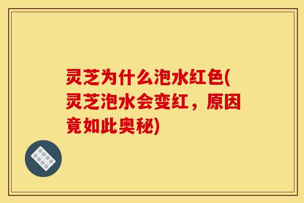 灵芝为什么泡水红色(灵芝泡水会变红,原因竟如此奥秘)