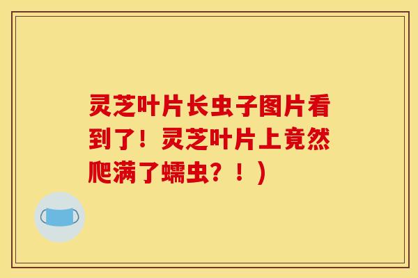 灵芝叶片长虫子图片看到了！灵芝叶片上竟然爬满了蠕虫？！)