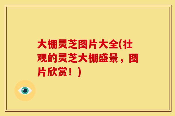 大棚灵芝图片大全(壮观的灵芝大棚盛景,图片欣赏!)