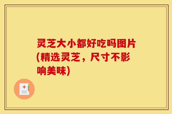 灵芝大小都好吃吗图片(精选灵芝,尺寸不影响美味)