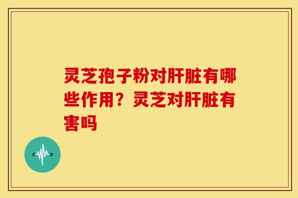 灵芝孢子粉对肝脏有哪些作用?灵芝对肝脏有害吗