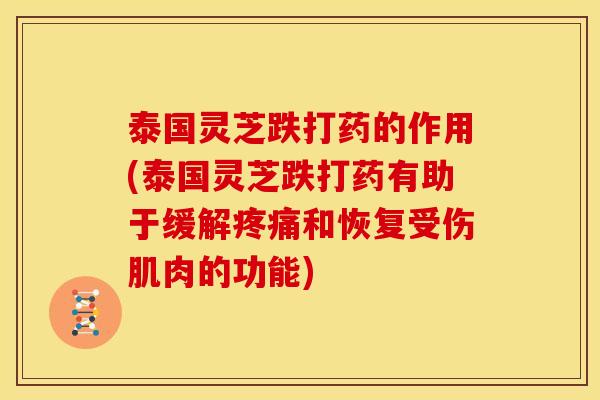 泰国灵芝跌打药的作用(泰国灵芝跌打药有助于缓解疼痛和恢复受伤肌肉的功能)