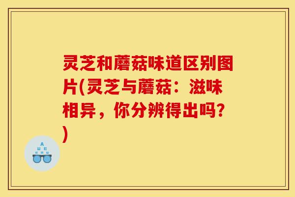 灵芝和蘑菇味道区别图片(灵芝与蘑菇:滋味相异,你分辨得出吗?)
