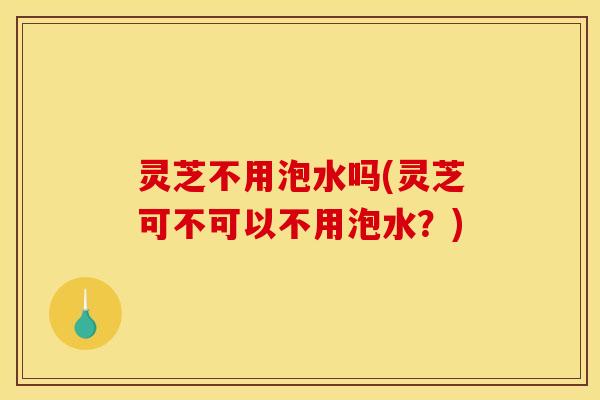 灵芝不用泡水吗(灵芝可不可以不用泡水？)
