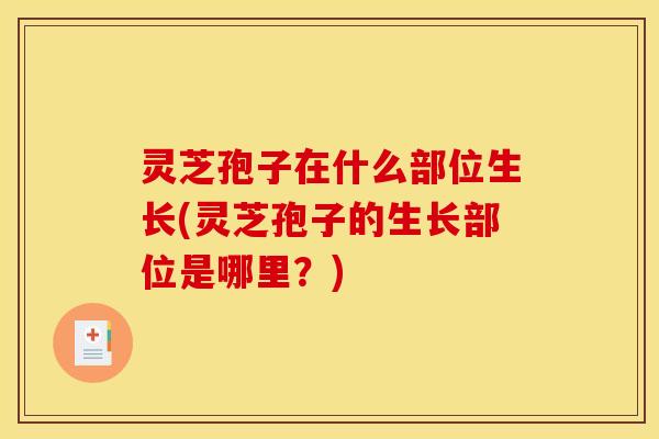 灵芝孢子在什么部位生长(灵芝孢子的生长部位是哪里?)