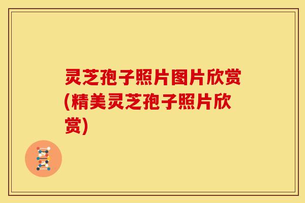 灵芝孢子照片图片欣赏(精美灵芝孢子照片欣赏)