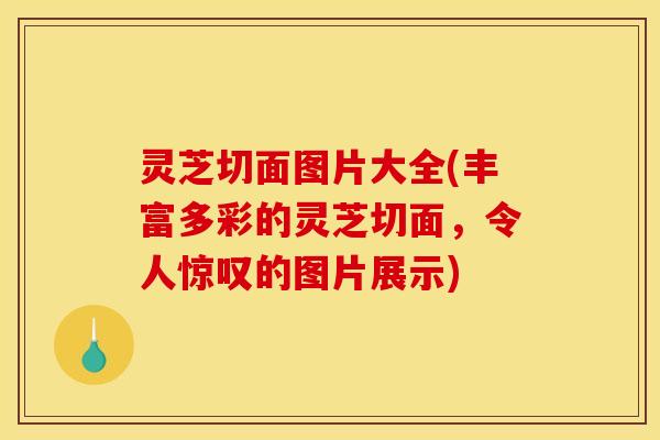 灵芝切面图片大全(丰富多彩的灵芝切面,令人惊叹的图片展示)