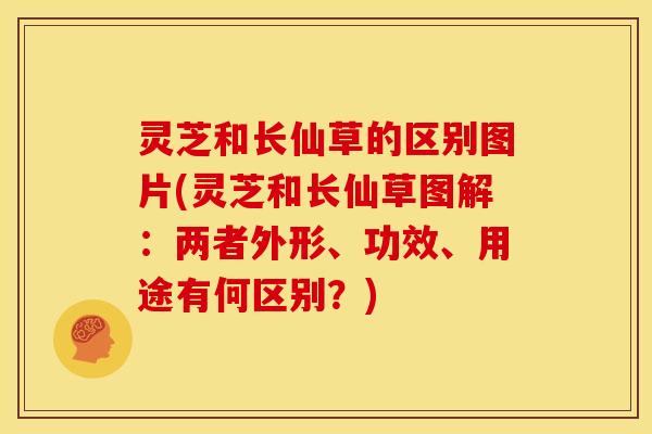 灵芝和长仙草的区别图片(灵芝和长仙草图解:两者外形、功效、用途有何区别?)