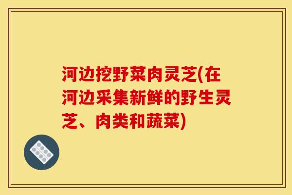 河边挖野菜肉灵芝(在河边采集新鲜的野生灵芝、肉类和蔬菜)