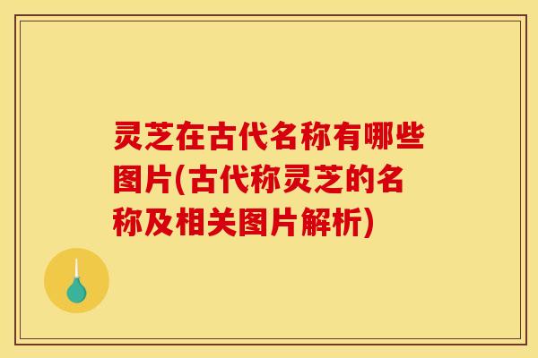 灵芝在古代名称有哪些图片(古代称灵芝的名称及相关图片解析)