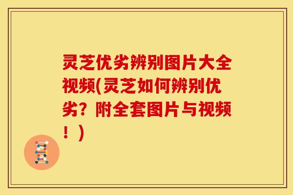 灵芝优劣辨别图片大全视频(灵芝如何辨别优劣？附全套图片与视频！)