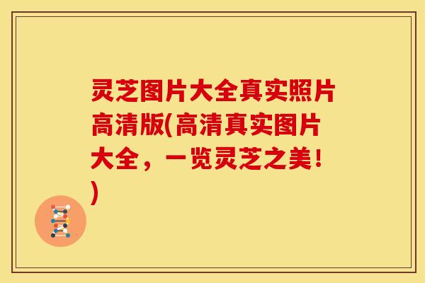 灵芝图片大全真实照片高清版(高清真实图片大全,一览灵芝之美!)