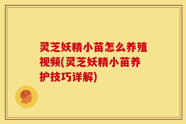 灵芝妖精小苗怎么养殖视频(灵芝妖精小苗养护技巧详解)