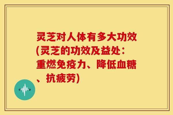 灵芝对人体有多大功效(灵芝的功效及益处:重燃免疫力、降低血糖、抗疲劳)