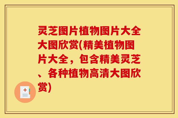 灵芝图片植物图片大全大图欣赏(精美植物图片大全,包含精美灵芝、各种植物高清大图欣赏)