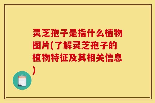灵芝孢子是指什么植物图片(了解灵芝孢子的植物特征及其相关信息)