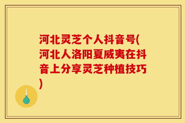 河北灵芝个人抖音号(河北人洛阳夏威夷在抖音上分享灵芝种植技巧)