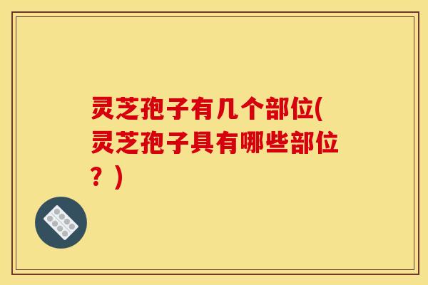 灵芝孢子有几个部位(灵芝孢子具有哪些部位？)