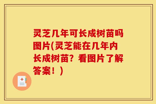 灵芝几年可长成树苗吗图片(灵芝能在几年内长成树苗?看图片了解答案!)