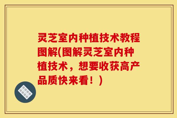 灵芝室内种植技术教程图解(图解灵芝室内种植技术,想要收获高产品质快来看!)