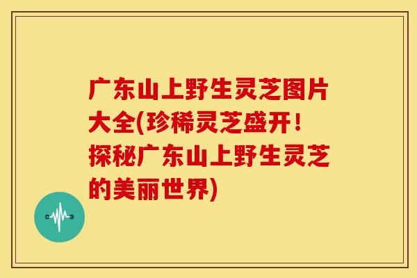 广东山上野生灵芝图片大全(珍稀灵芝盛开！探秘广东山上野生灵芝的美丽世界)